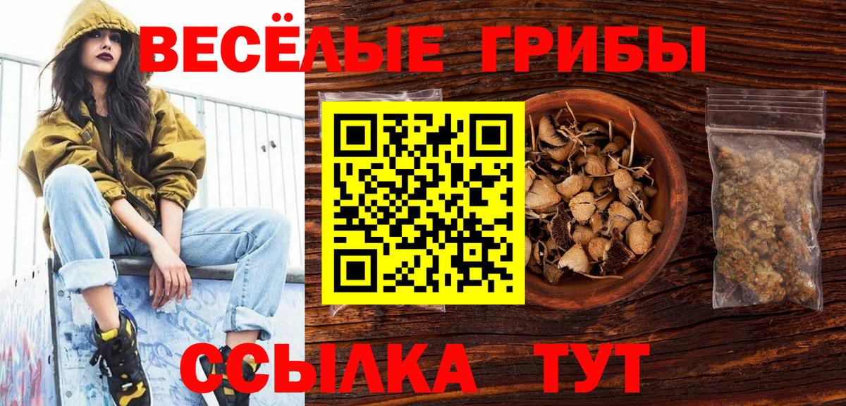 где можно купить наркотик  Галлюциногенные грибы GOLDEN TEACHER  Вход с VPN  Астрахань 