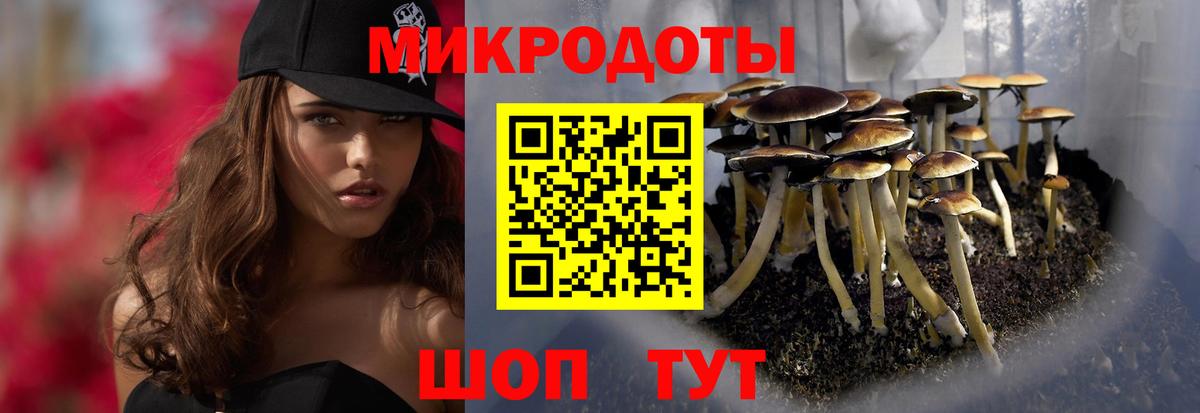 Галлюциногенные грибы прущие грибы Астрахань